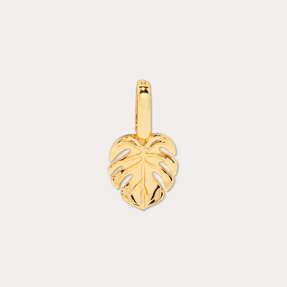 Charms con significado